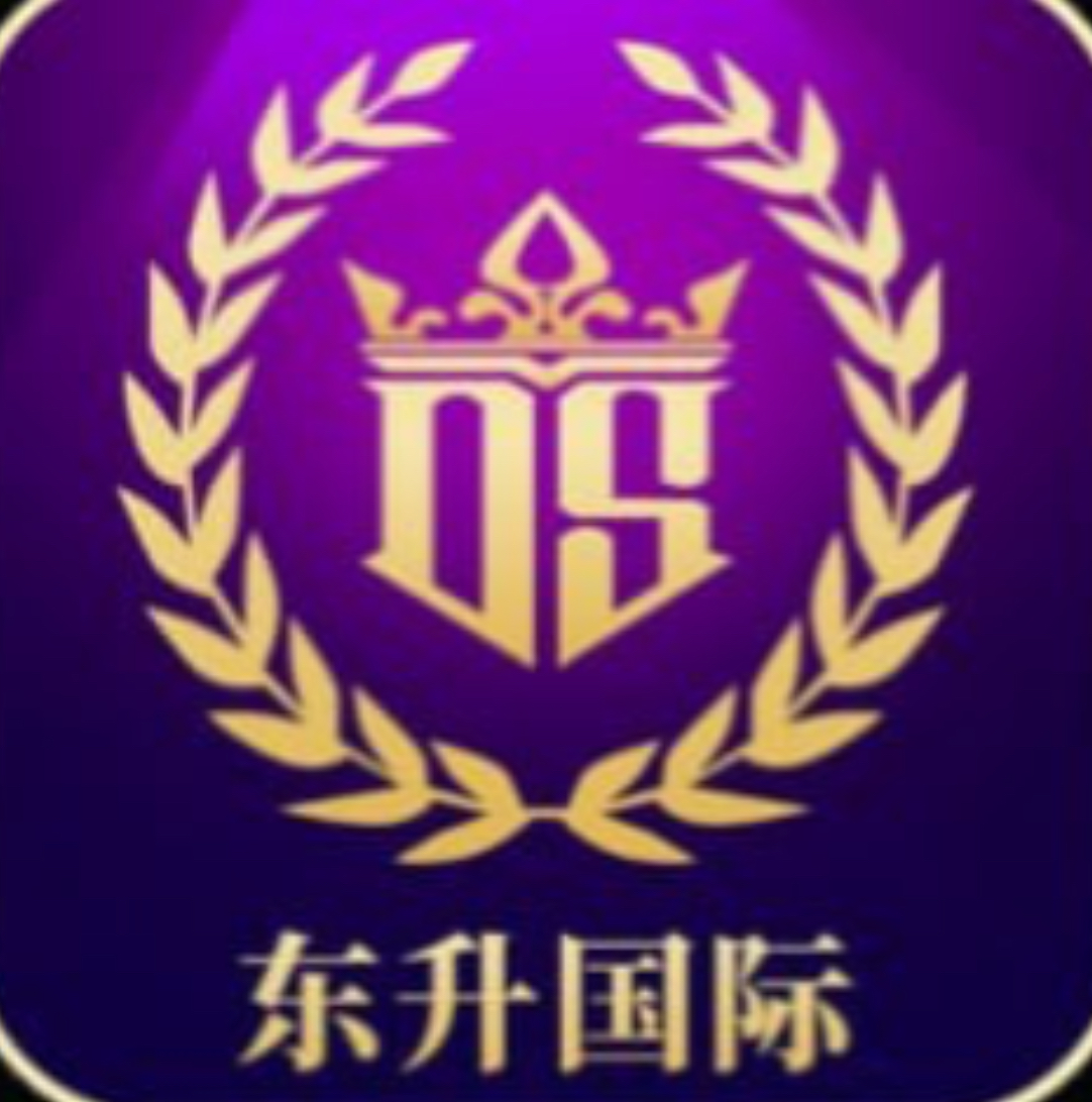 东升国际